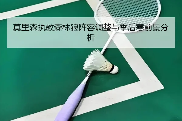 莫里森执教森林狼阵容调整与季后赛前景分析